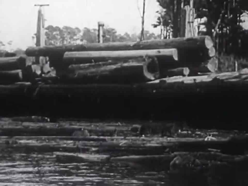 [Redwood Empire Special and Lumber Mills]