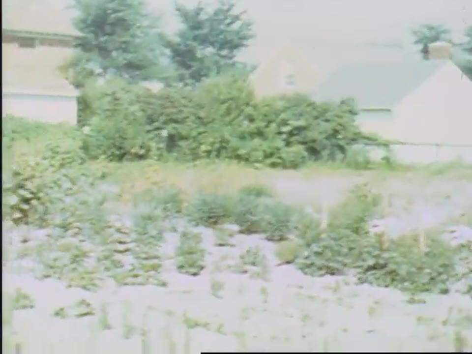 [Home Movies: Building Home in Detroit, June 1941]
