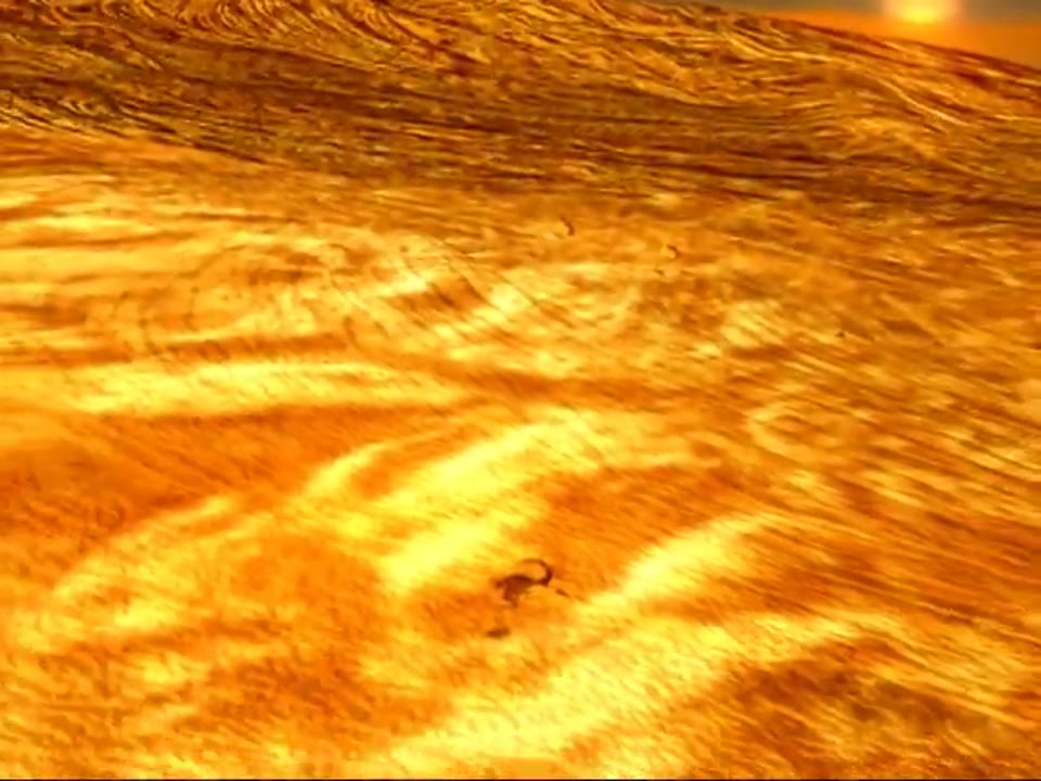Venus Transit 2004
