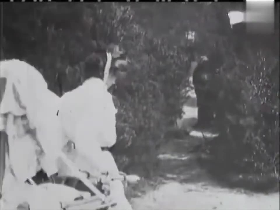 Rescued By Rover (1905) Directed By Cecil M. Hepworth, Lewin Fitzhamon