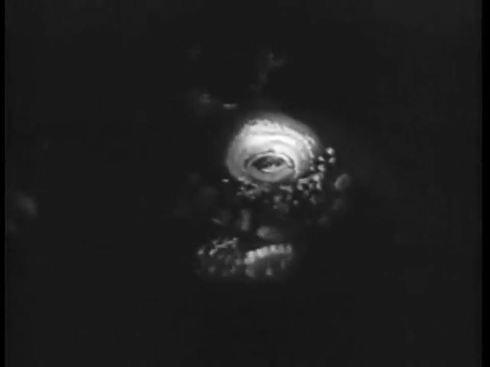 Attack of The Giant Leeches - Trailer