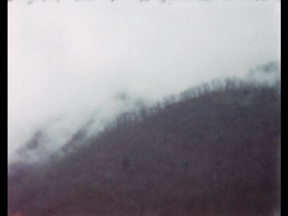 Home movie: 098161: 1950s Georgia family and neighbors