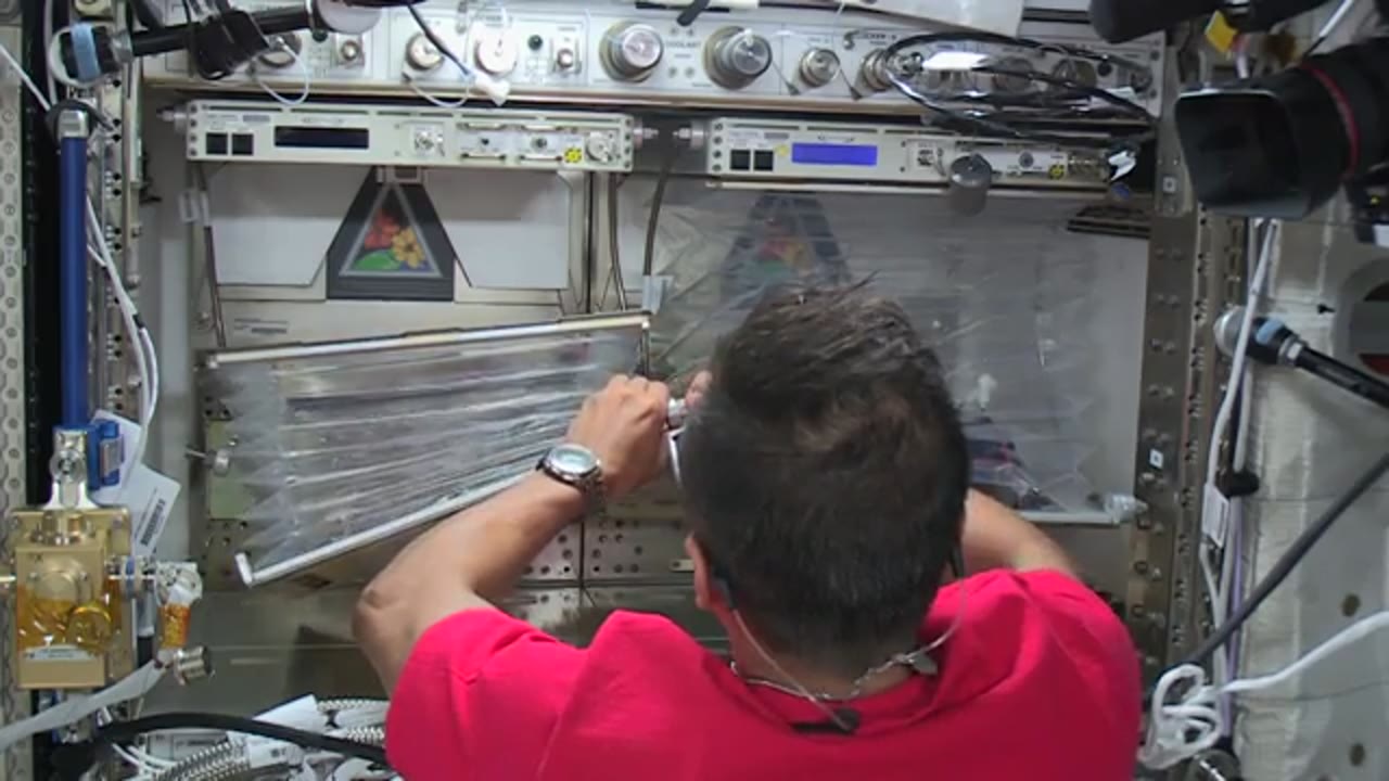 ISS Downlink Video - Acaba Veggie 01 Installation (HD DL 5 2017 270 1120 566929)