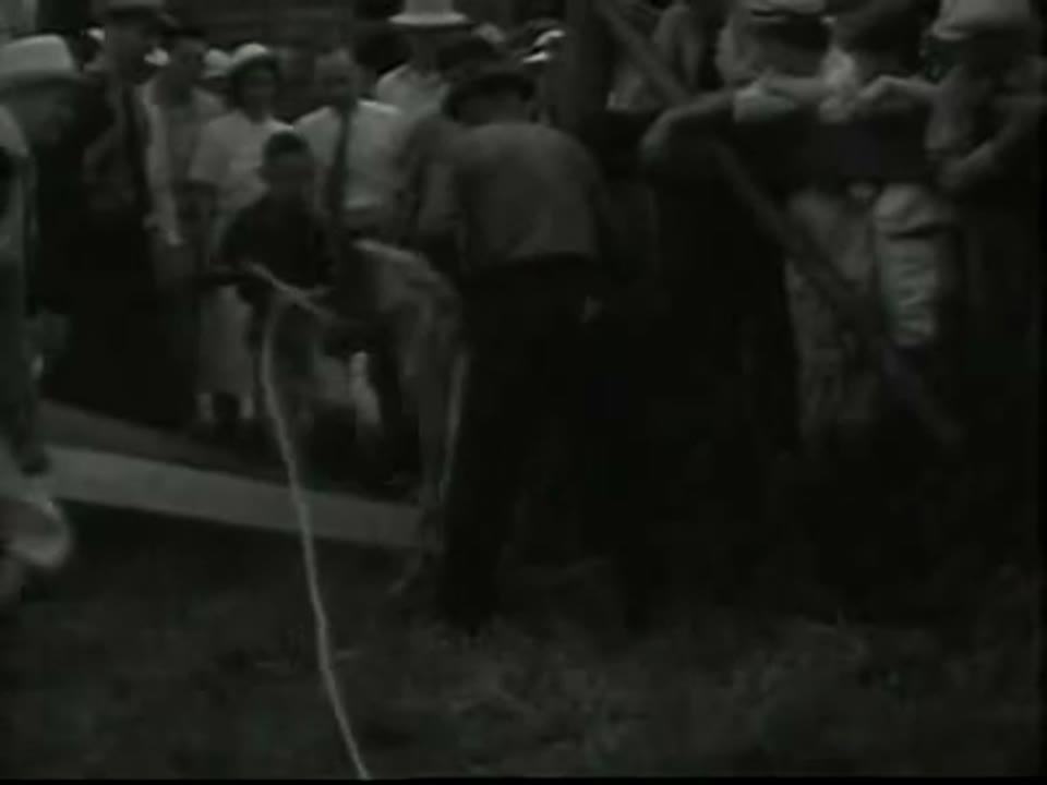 [Universal Newsreel: Modern Venus Contest]