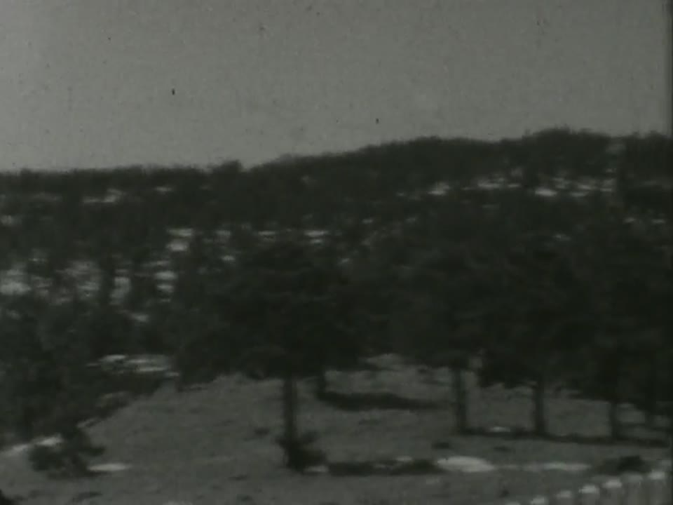 Home Movie: 10877: San Francisco, New Orleans