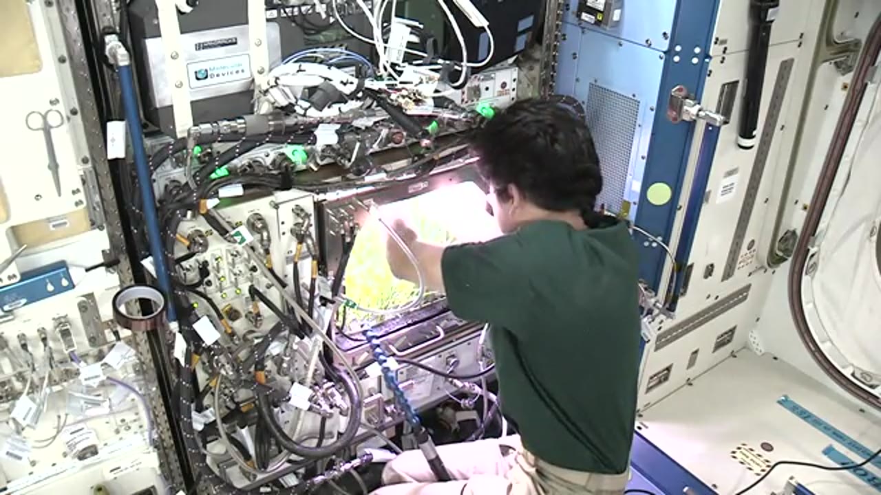 Kanai-IR-Advanced-Plant-Habitat_HD-DL-6_2018_065_1408_625501.mxf