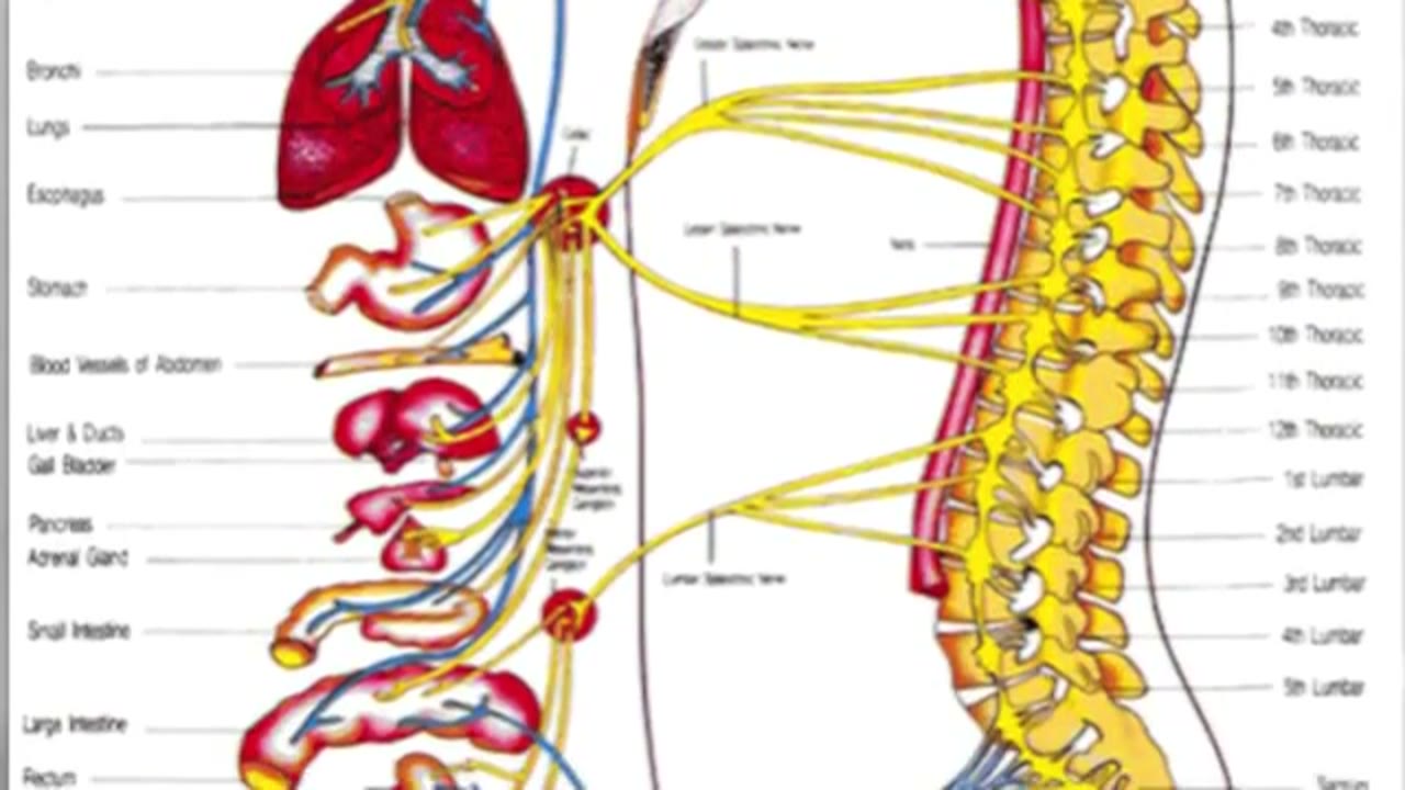 Podcast #1: Spine & Joint Institute - Hockey Doc Talks Chiropractic w/Cross Ice Feed (2/22/13)
