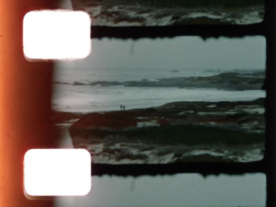 Home Movie: 004145