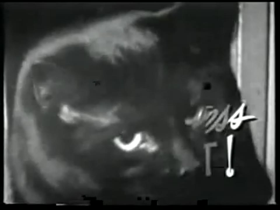 The Cat Creeps - Trailer